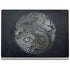 Chinese Black Dragon Surface Book 2 13.5in Skin